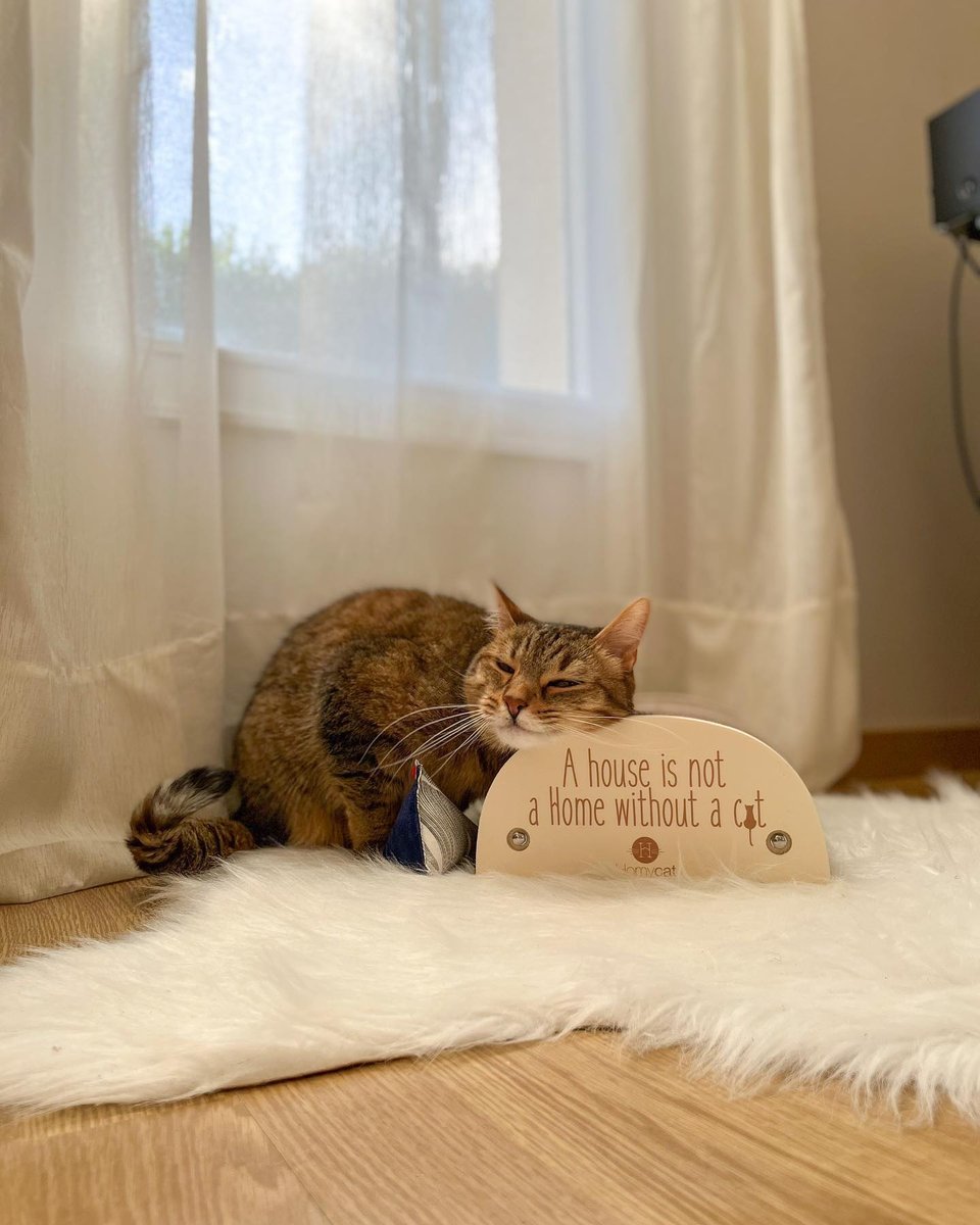 C'est le 💥 BLACK FRIDAY 💥 chez Homycat !! Mais attention, c'est le dernier jour pour profiter de -15% sur les BEST SELLER !!! ❤️⁠
⁠⁠⁠
Retrouvez nos griffoirs et bien plus sur Homycat.com ! 🛒