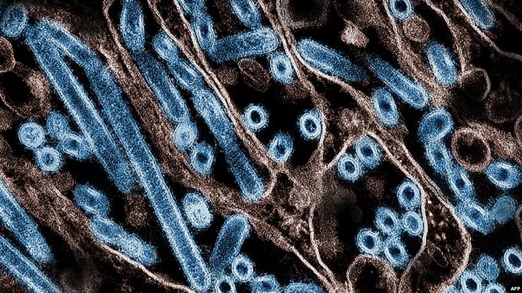 Mellanie F. Dutra tweet media