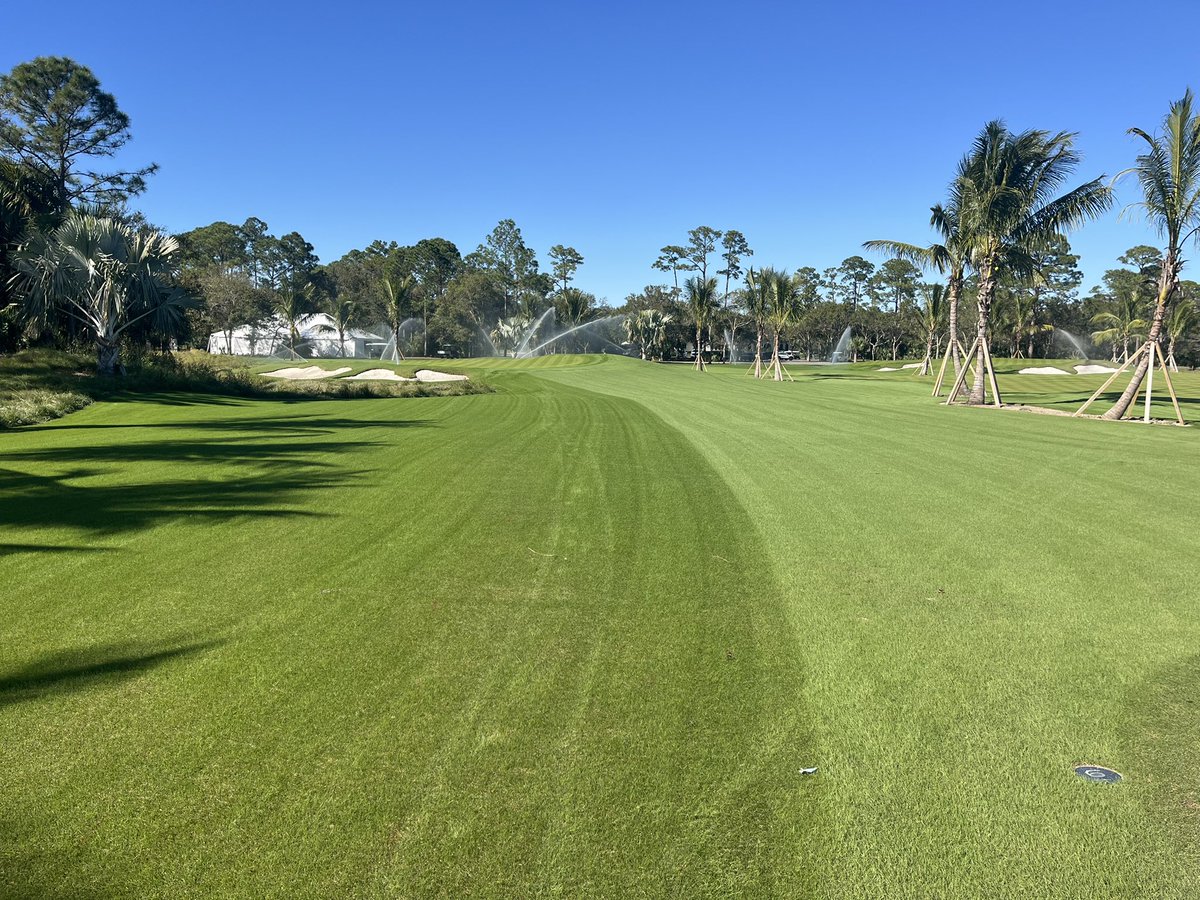 tonynyssegcs's tweet photo. #redan #weecourse https://t.co/pk39GyiTSs