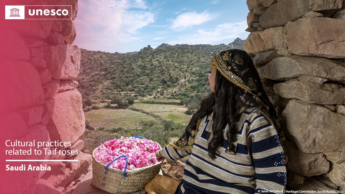 🔴 BREAKING

New inscription on the #IntangibleHeritage List: Cultural practices related to Taif roses, #SaudiArabia🇸🇦.

Congratulations!

unes.co/19ich #LivingHeritage