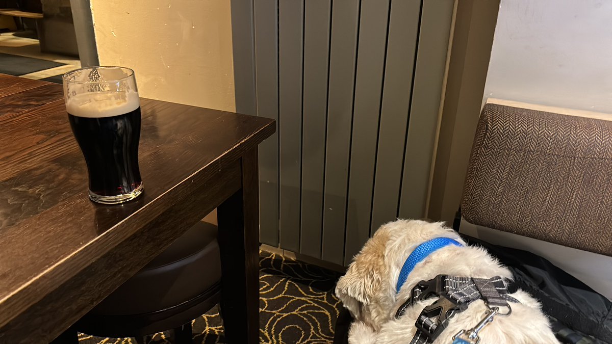 Walking the dog is the best!