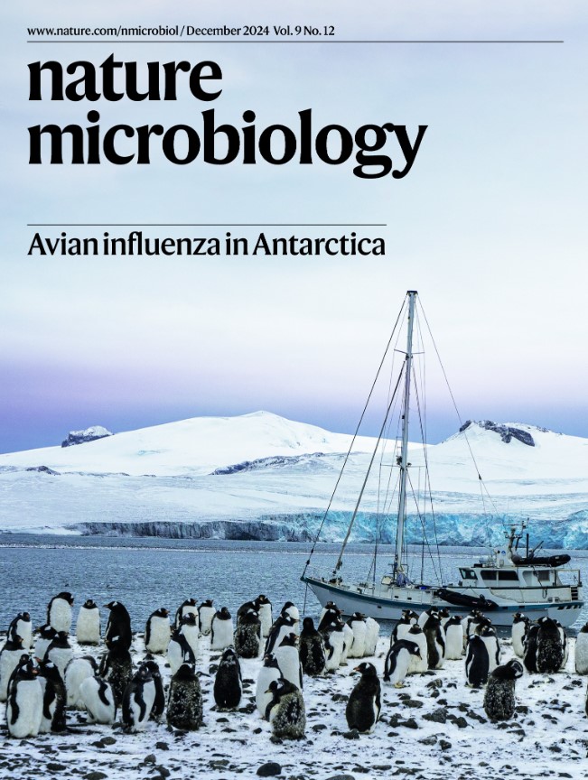 CSIC (@csic) on Twitter photo 📖<a href="/NatureMicrobiol/">Nature Microbiology</a> dedica su portada a los hallazgos del <a href="/CBM_CSIC_UAM/">Centro de Biología Molecular Severo Ochoa</a> sobre la presencia del virus de la gripe aviar altamente patogénica en la península antártica
▶️nature.com/nmicrobiol/vol…
En el🧵enlazamos informaciones del proyecto publicadas entre febrero y agosto: 📖<a href="/NatureMicrobiol/">Nature Microbiology</a> dedica su portada a los hallazgos del <a href="/CBM_CSIC_UAM/">Centro de Biología Molecular Severo Ochoa</a> sobre la presencia del virus de la gripe aviar altamente patogénica en la península antártica
▶️nature.com/nmicrobiol/vol…
En el🧵enlazamos informaciones del proyecto publicadas entre febrero y agosto: