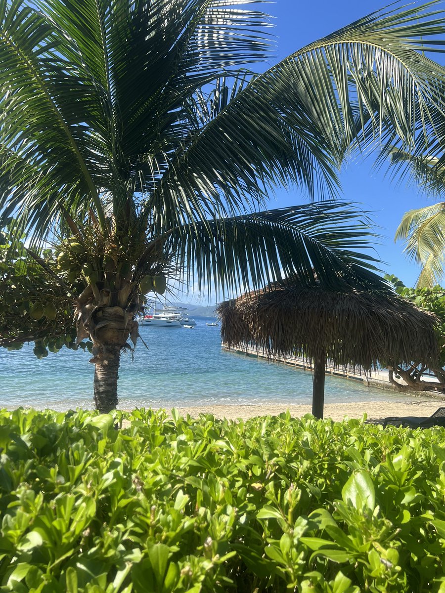 hEDSrehab's tweet photo. From conference halls to crystal seas: Birmingham to BVI. Life's all about balance! 🎯🌴#balace #thehypermobilelife @JGjanegreenMBE https://t.co/4WUmCx3NHE