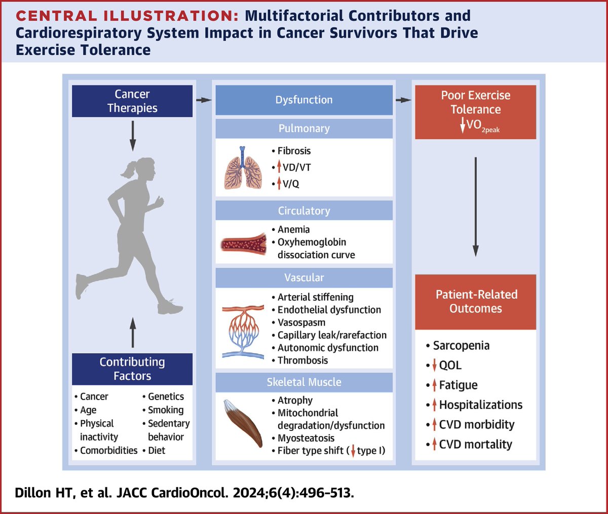 JACC Journals (@jaccjournals) on Twitter photo #JACCCardioOnc review uses the oxygen cascade as a framework to systematically highlight the peripheral toxicities of conventional & novel cancer therapies & their subsequent impact on Vo2peak & #CVD risk bit.ly/3BeouRR
#CardioOnc <a href="/erin_howden/">Erin Howden</a> <a href="/S_FoulkesAEP/">Steve Foulkes</a> #JACCCardioOnc review uses the oxygen cascade as a framework to systematically highlight the peripheral toxicities of conventional & novel cancer therapies & their subsequent impact on Vo2peak & #CVD risk bit.ly/3BeouRR
#CardioOnc <a href="/erin_howden/">Erin Howden</a> <a href="/S_FoulkesAEP/">Steve Foulkes</a>