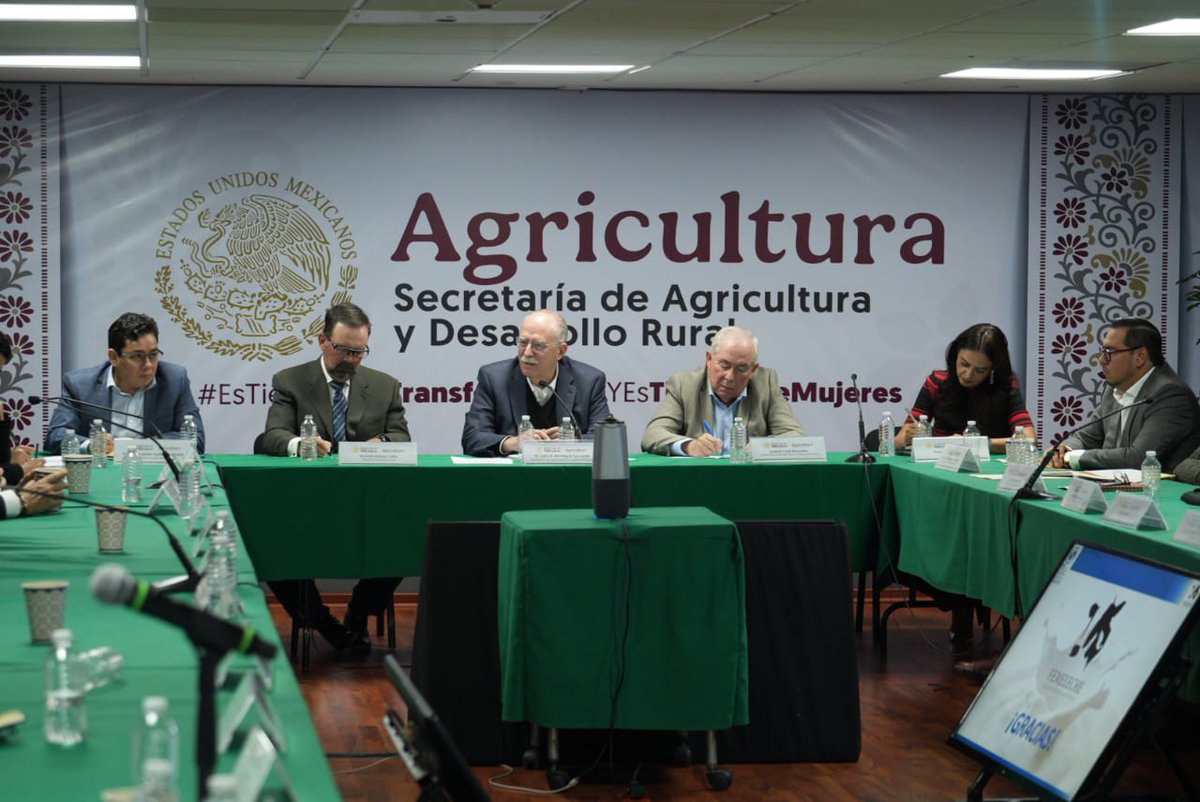 Julio Berdegué tweet media