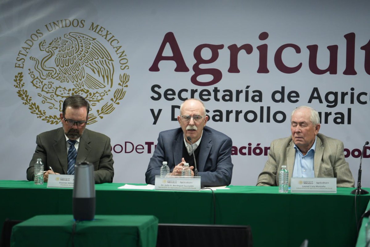 Julio Berdegué tweet media