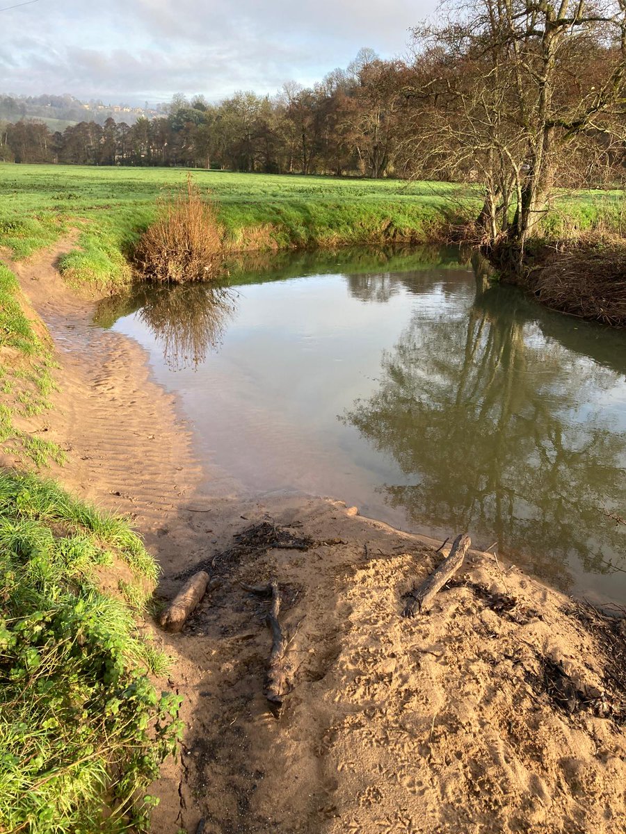avon_angling's tweet photo. Hopefully, next years pictures will show the bank restored. This is after cattle poaching the water. Just some faggots to add. #ataawaters https://t.co/ziRozYQAdM