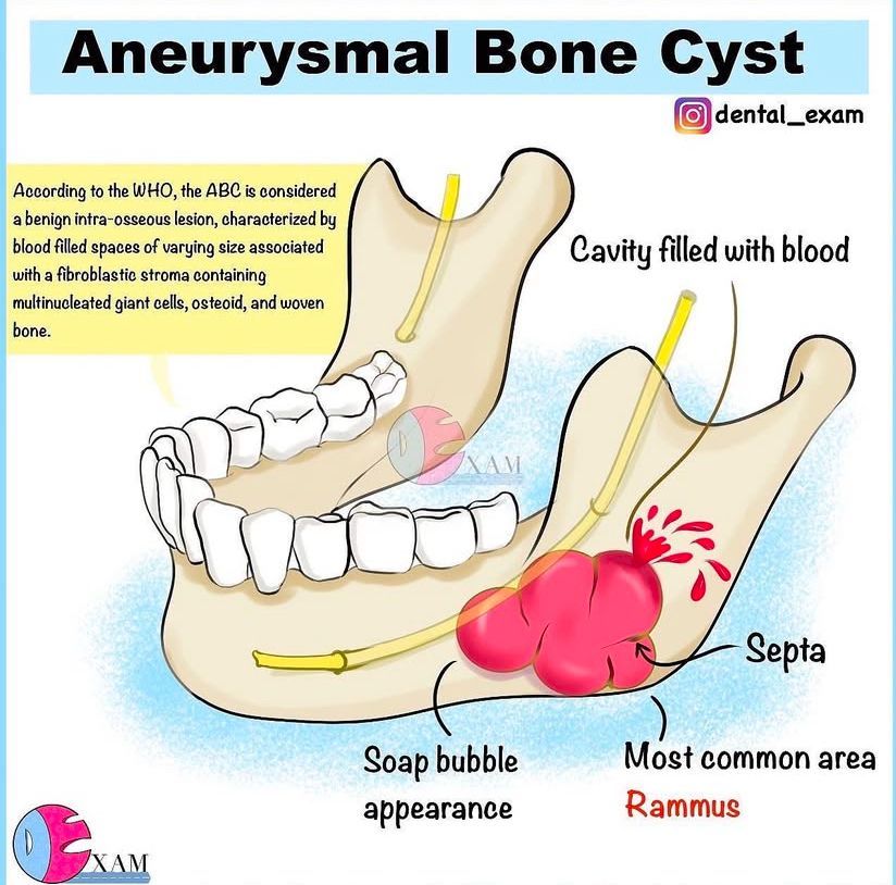 Dr.Doaa🧠🦷🇵🇸 tweet media