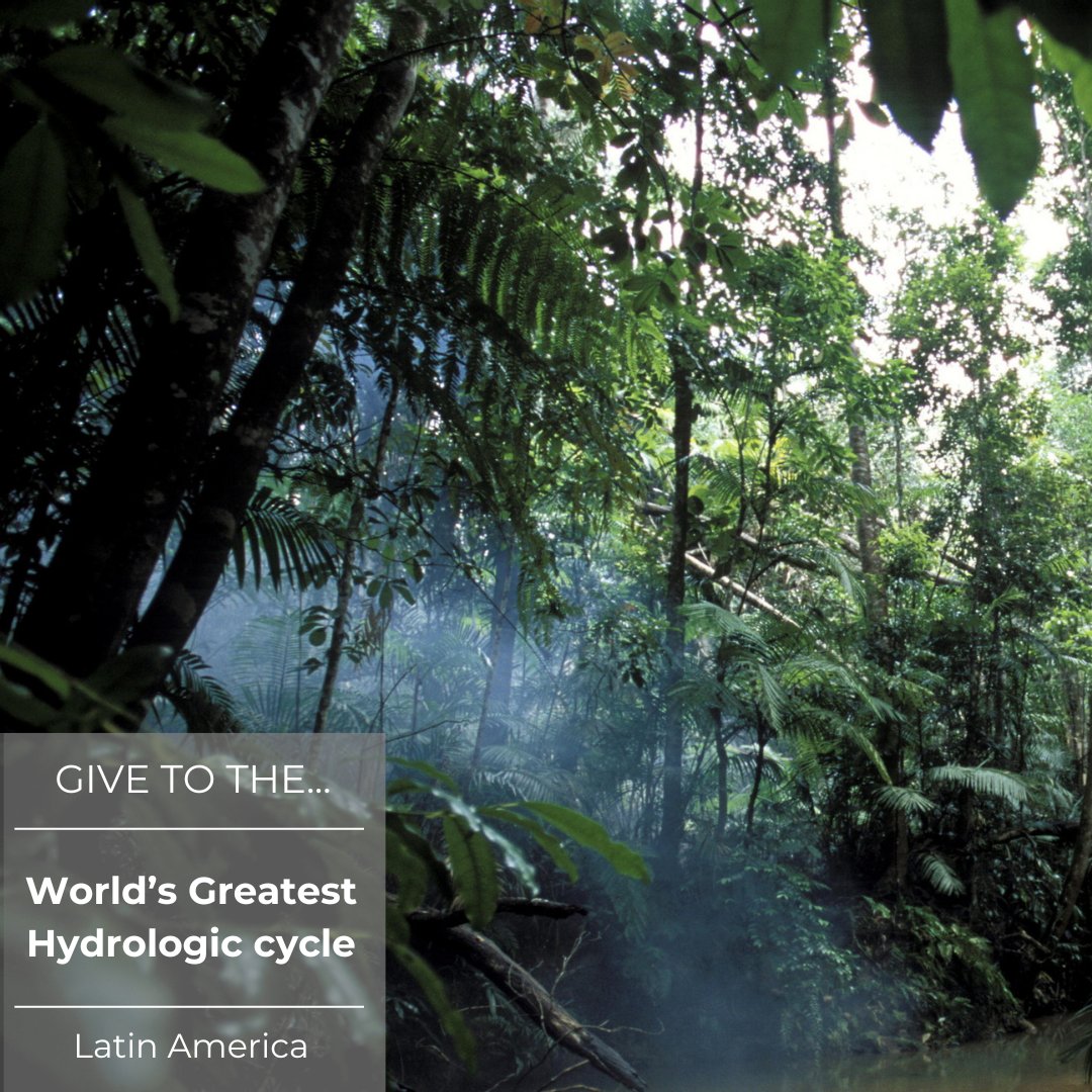 Conservation Biology Institute tweet media