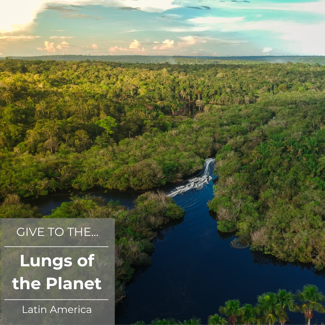 Conservation Biology Institute tweet media