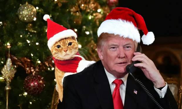 Hadrianus tweet media