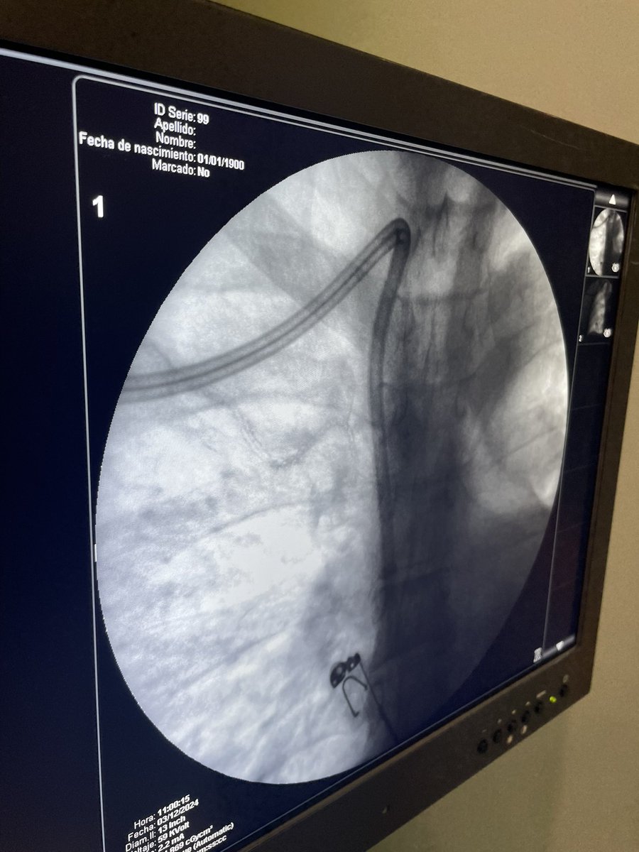 BORIS GONZALES tweet media