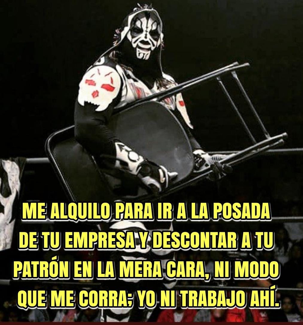 adolfo tapia ibarra tweet media