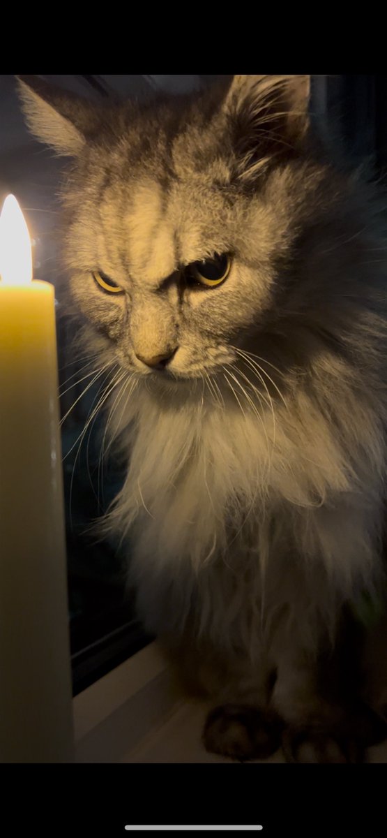 Dr Helen Ingram tweet media