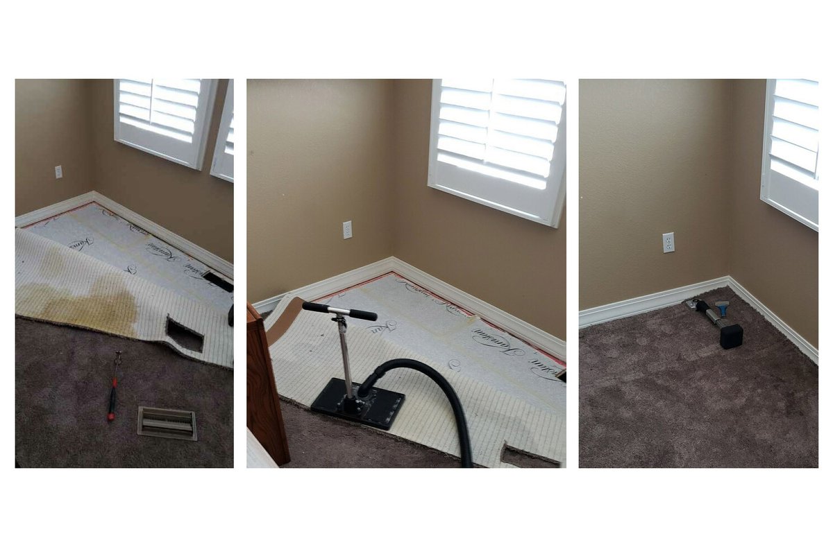 msscleaning's tweet photo. When we discover severe pet urine, we often need to pull back the carpet and heavily extract the front and back of the carpet as well as the pad to get rid of the contamination, before reinstalling. https://t.co/c3hY86R0vt