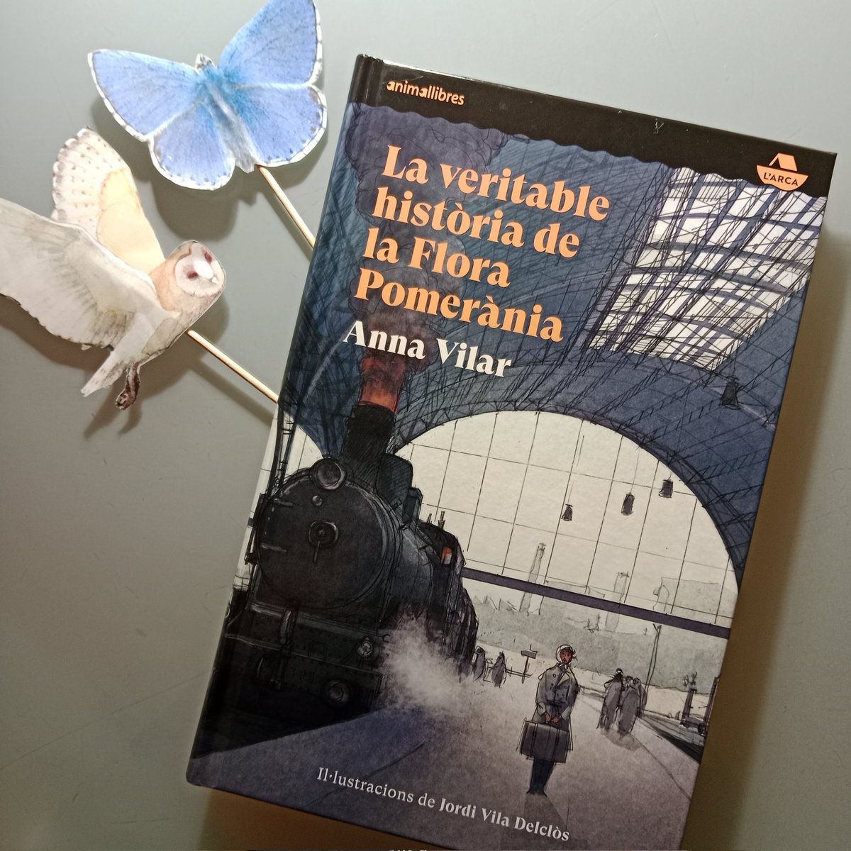 Irene Moulas tweet media