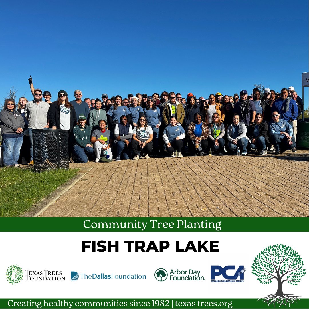 Texas_Trees's tweet photo. Shout out to The Dallas Foundation, @arborday, @packagingcorp, and all the volunteers who joined us at the Fish Trap Lake planting event. Thanks to your efforts, we planted 100 trees, each one a step towards a greener and healthier Texas. #ProjectUP #UPliftingCommunities https://t.co/GV67WeP4oG