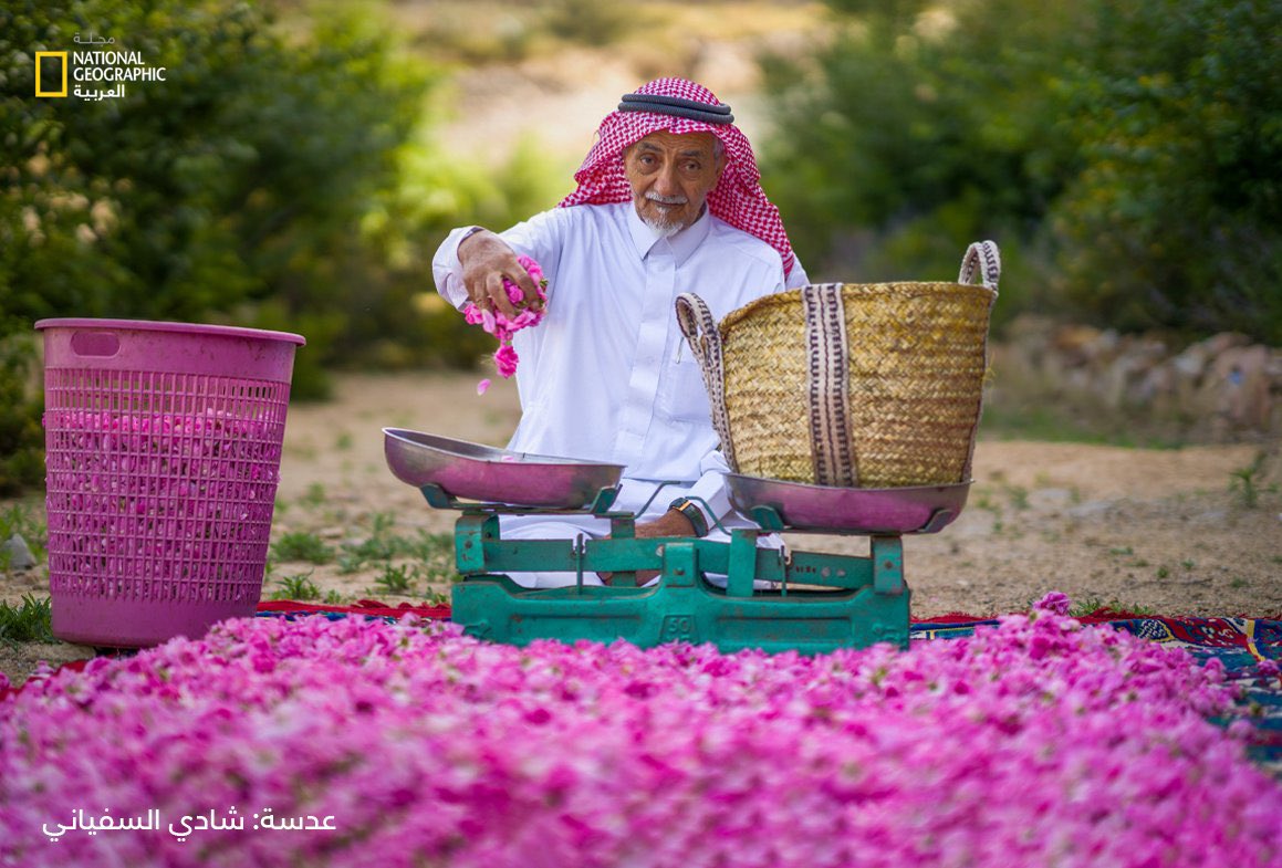 وردك جميل محلاه 🌸
فتّح على غصنه 
لما الندى حيّاه 🌸
نور و بان حسـنه

#الطائف مدينة الورد والعطر 

تم تسجيل #الورد_الطايفي 
في اليونسكو ضمن قائمة التراث الغير مادي