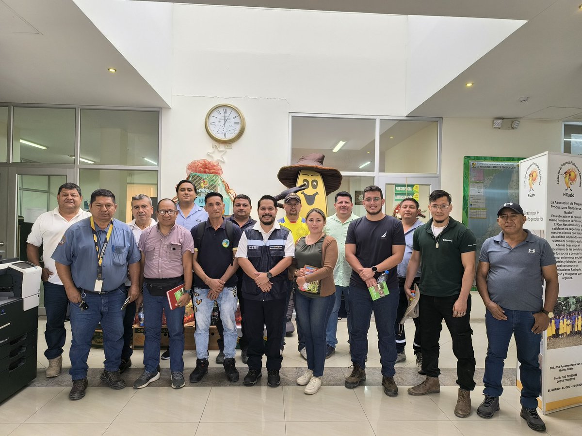 Frearmag3's tweet image. @espol fortalece su extensión. En trabajo conjunto con @AgrobanEC y financiado por @el_BID se ejecuta proyecto para la extensión y adopción de dos tecnologías de @cibe_espol para mitigar enfermedades en banano; @Fusarium_Sensor y #Trichofast. Gracias a @asoguabo @AgriculturaEc