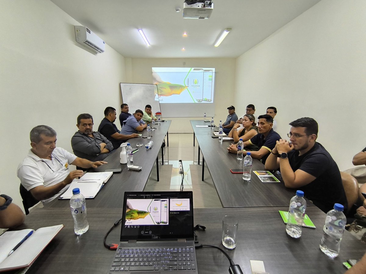 Frearmag3's tweet image. @espol fortalece su extensión. En trabajo conjunto con @AgrobanEC y financiado por @el_BID se ejecuta proyecto para la extensión y adopción de dos tecnologías de @cibe_espol para mitigar enfermedades en banano; @Fusarium_Sensor y #Trichofast. Gracias a @asoguabo @AgriculturaEc