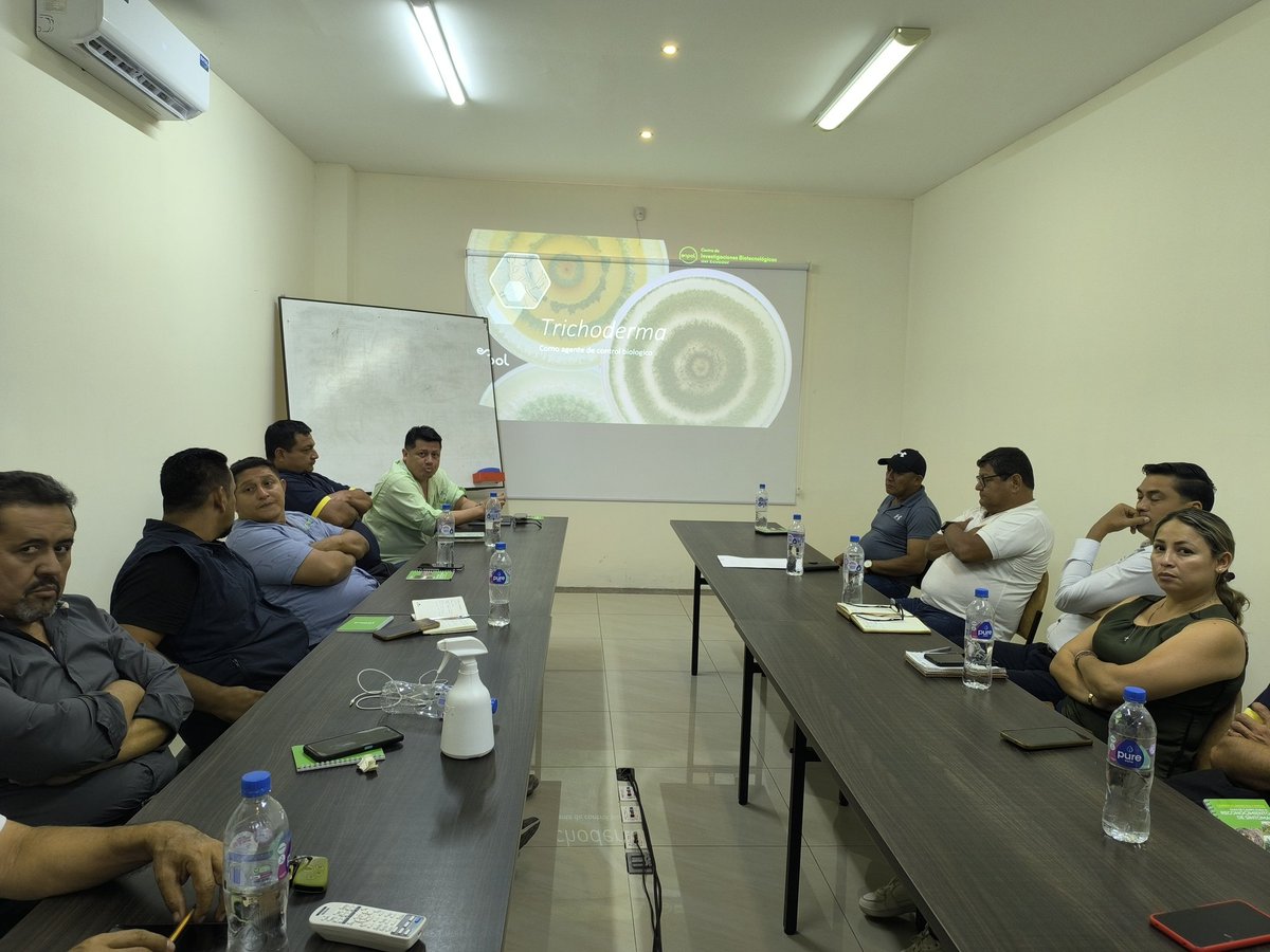 Frearmag3's tweet image. @espol fortalece su extensión. En trabajo conjunto con @AgrobanEC y financiado por @el_BID se ejecuta proyecto para la extensión y adopción de dos tecnologías de @cibe_espol para mitigar enfermedades en banano; @Fusarium_Sensor y #Trichofast. Gracias a @asoguabo @AgriculturaEc
