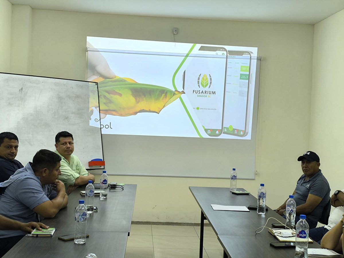 Frearmag3's tweet image. @espol fortalece su extensión. En trabajo conjunto con @AgrobanEC y financiado por @el_BID se ejecuta proyecto para la extensión y adopción de dos tecnologías de @cibe_espol para mitigar enfermedades en banano; @Fusarium_Sensor y #Trichofast. Gracias a @asoguabo @AgriculturaEc