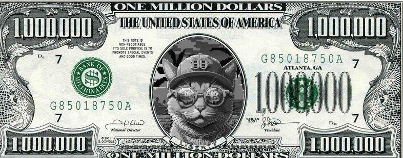 🚨 RUMOR ALERT: TRUMP ADMINISTRATION CONSIDERING REPLACING UNITED STATES DOLLAR WITH $OPCAT 🙀 🇺🇸 $BTC $USD
