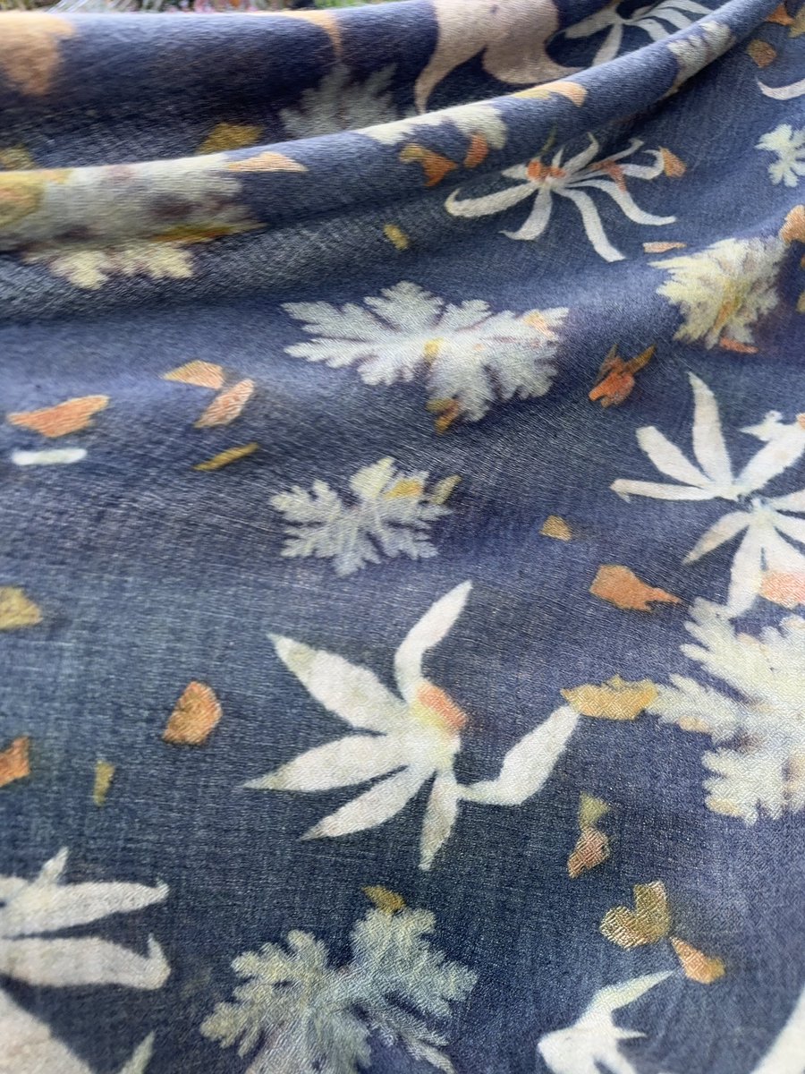 Jane Goodall tweet media