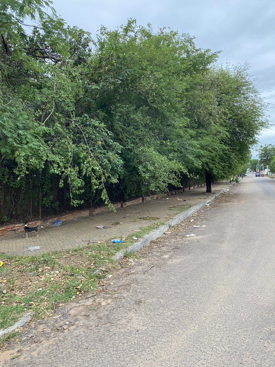 Solicito a la <a href="/ANDEOficial/">ANDE Página Oficial</a> repare la vereda y se pode el matorral que se formó en su local ubicado Trinidad (8 de Junio esq Juana P. Carrillo), apeligra a transeúntes por la inseguridad, a consideración del Pdte. si nos puede dar una mano con esto <a href="/FelixSosaPy/">Félix Sosa</a>