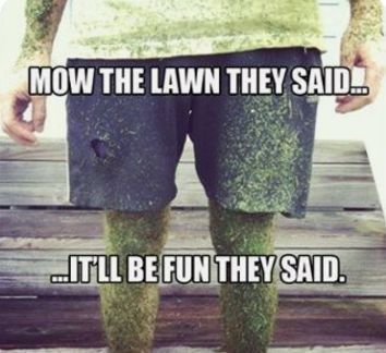 allentucklandsc's tweet image. All I want for Christmas is… someone else to take care of my landscape.
#ImprovingLives  #LandscapingHumor #RockvilleMD