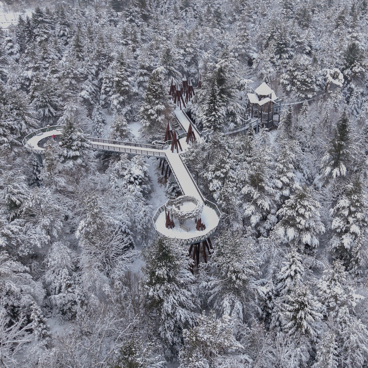 ❄️ The Wild Center is a winter wonderland! ❄️
Borrow complimentary snowshoes or kicksleds and explore our snowy trails starting this weekend (weather permitting). Tickets at hubs.ly/Q02-ccqP0