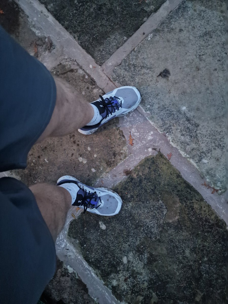 Harrison Ward | Fell Foodie tweet media