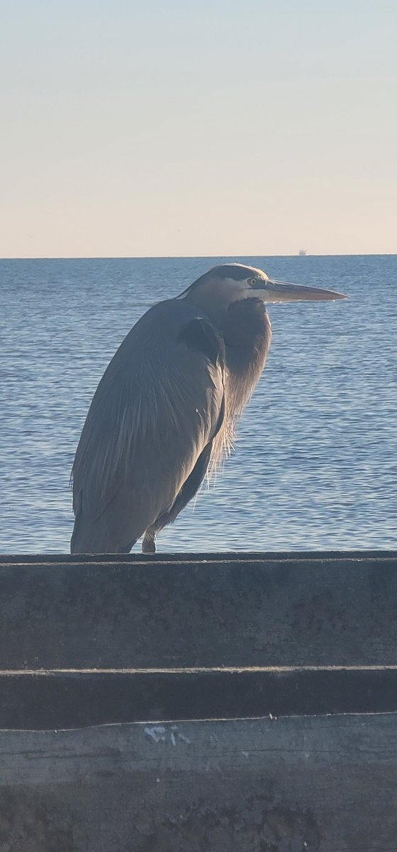 MaybeNotJolly's tweet image. A cool pic from my travels 😊