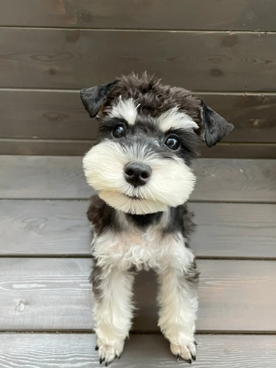 trant_d's tweet image. Don&apos;t appear in my dreams. I can&apos;t bear the emptiness when I wake up.