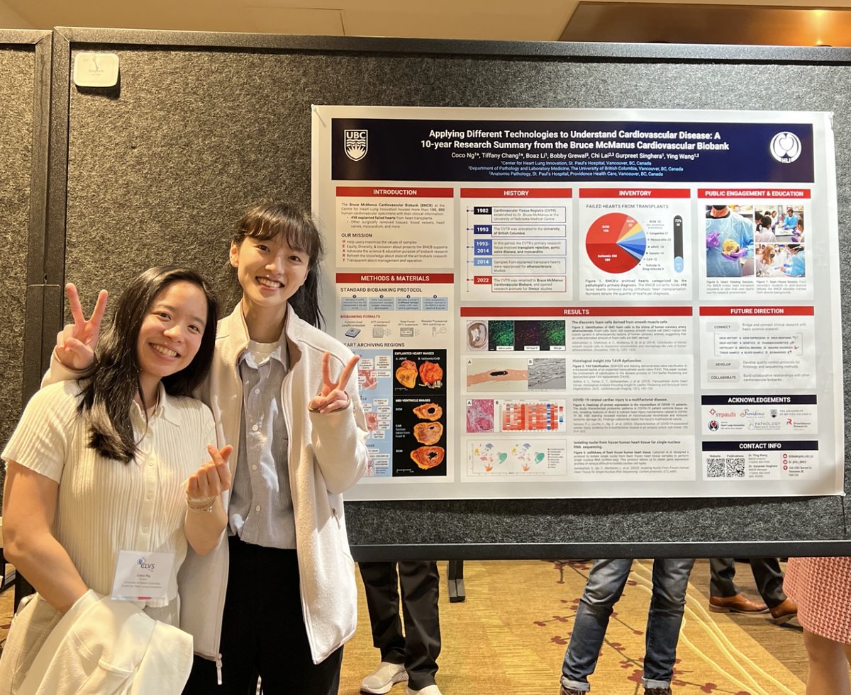 HLI at St Paul's tweet media