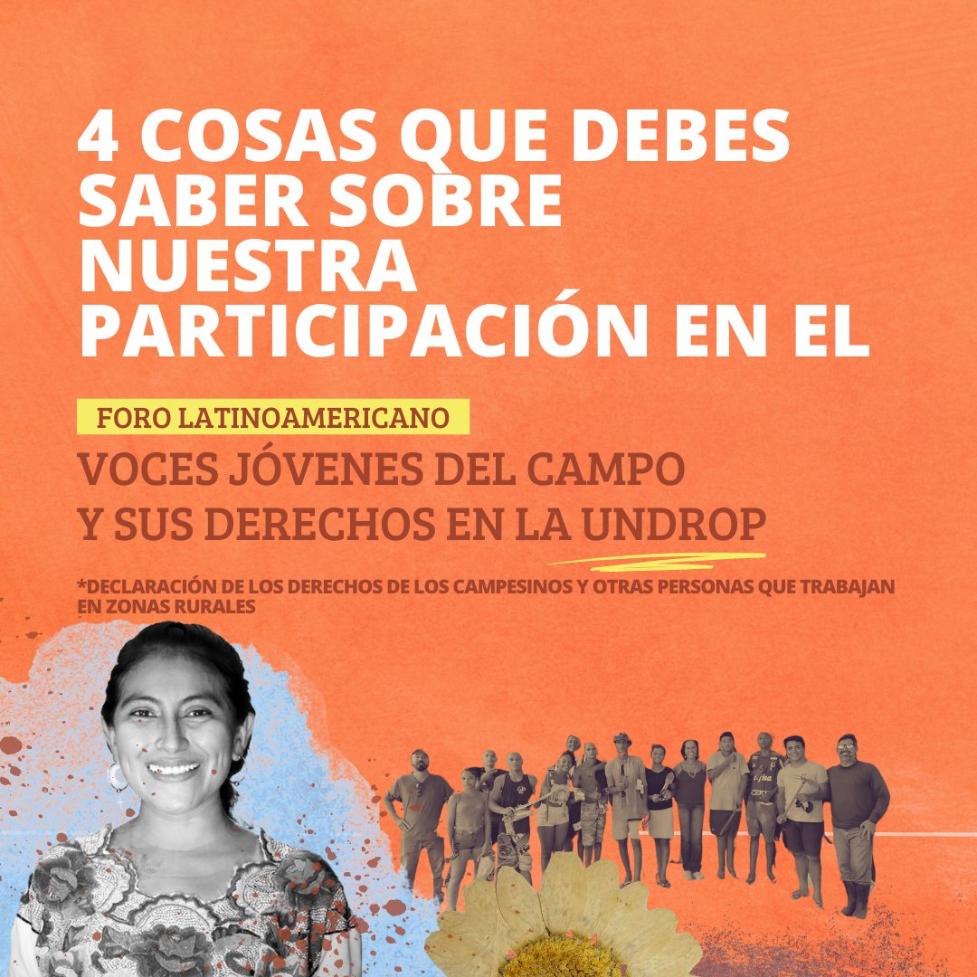 El 4 y 5 de diciembre, jóvenes rurales de LAC se reunirán en Bogotá 🇨🇴para debatir sobre los desafíos y perspectivas de la #UNDROP, la Declaración de los Derechos de los Campesinos y Otras Personas que Trabajan en Zonas Rurales. 
#JuventudRural 
🧵