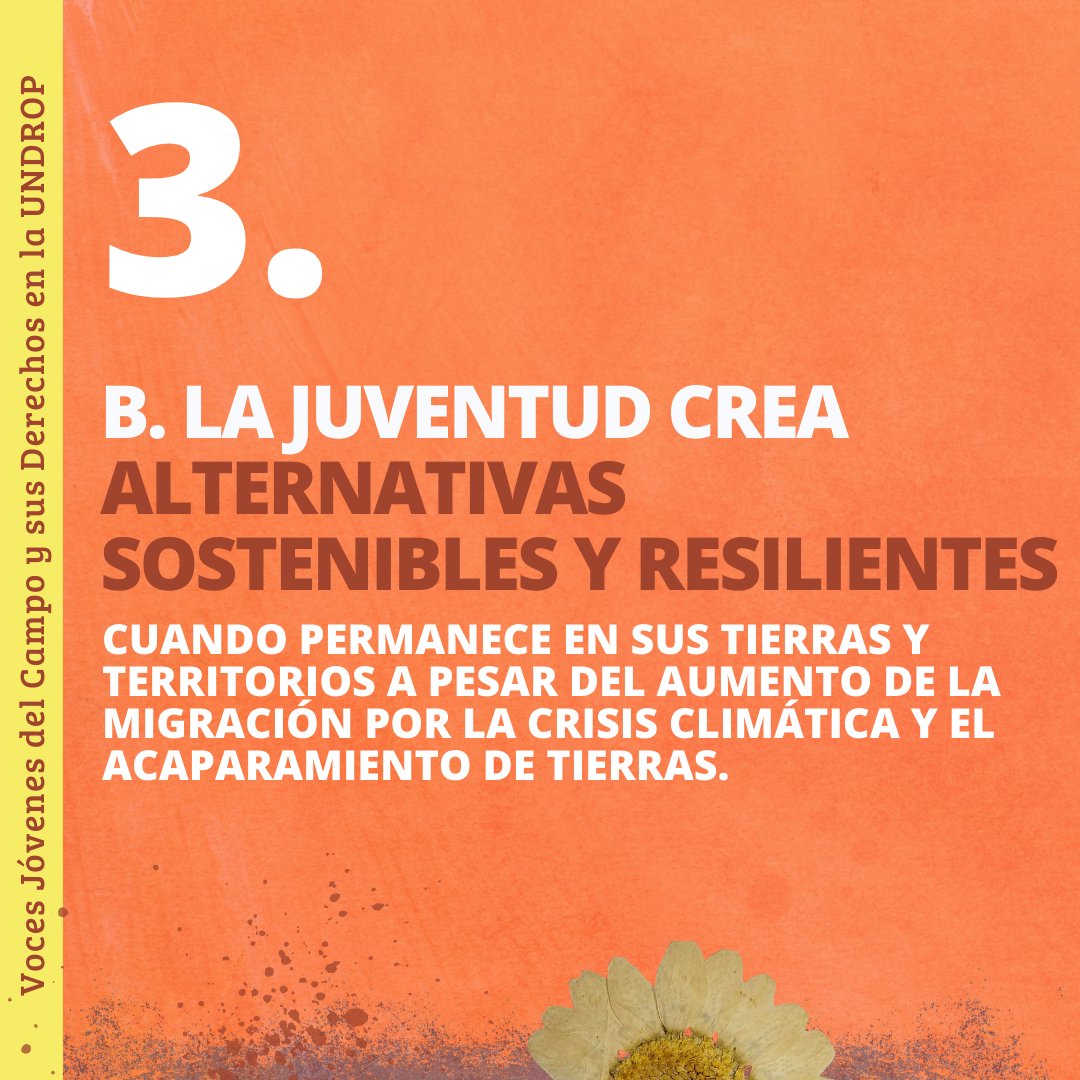 ILCLatinAmerica's tweet photo. Llevamos al Foro 3⃣ mensajes clave sobre  #JuventudRural #AccesoAlaTierra y #UNDROP: https://t.co/C91ah1GN0z