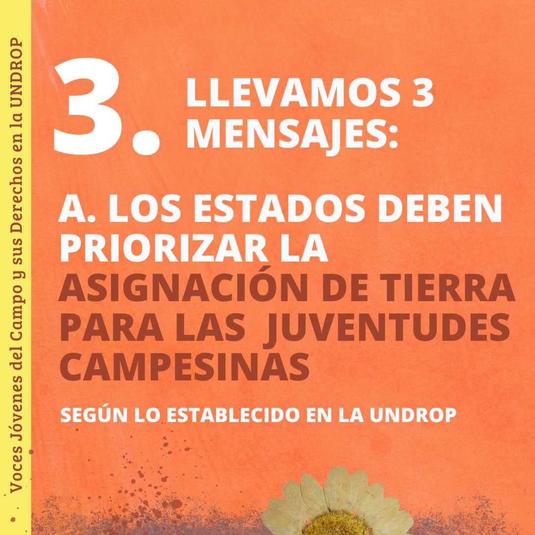 ILCLatinAmerica's tweet photo. Llevamos al Foro 3⃣ mensajes clave sobre  #JuventudRural #AccesoAlaTierra y #UNDROP: https://t.co/C91ah1GN0z