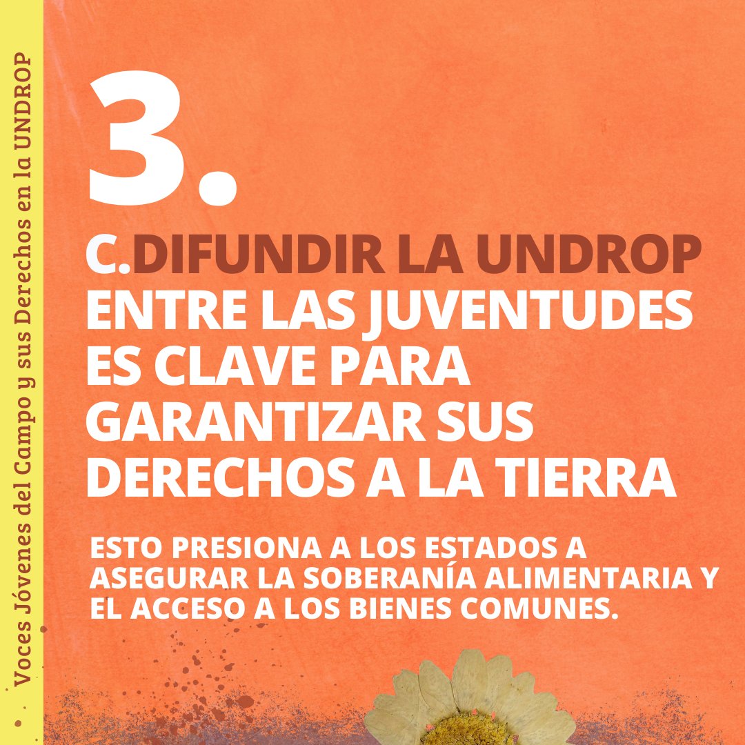 Llevamos al Foro 3⃣ mensajes clave sobre  #JuventudRural #AccesoAlaTierra y #UNDROP: