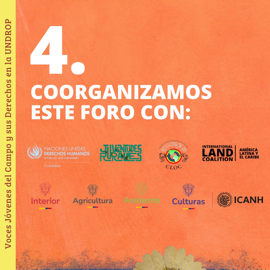 Organizamos este Foro con diversas instituciones públicas de Colombia,<a href="/CINEP_PPP/">CINEP/PPP</a> y <a href="/CLOC_LVC/">CLOC Vía Campesina</a>🤝 

Y nos seguimos preparando rumbo al #LandForum de Juventudes 2025 que se llevará a cabo también en 🇨🇴!  

Más sobre #UNDROP y los #DerechosAlaTierra 🌱shorturl.at/707xu