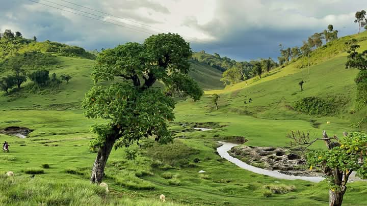 niiteevanso's tweet photo. No place is more beautiful than my home. https://t.co/c3wMWGWchv