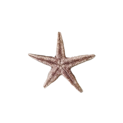 ADVITAMETERNAL's tweet image. ᅠᅠ
you  should  be  glad  i’m  not  setting  the  house  on  fire.
ᅠᅠ