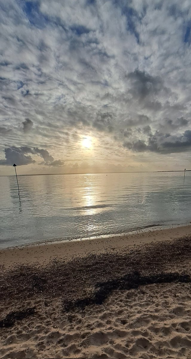 What a gorgeous day <a href="/FriendsSouthend/">Friends of Southend</a>  Chalkwell ❤️