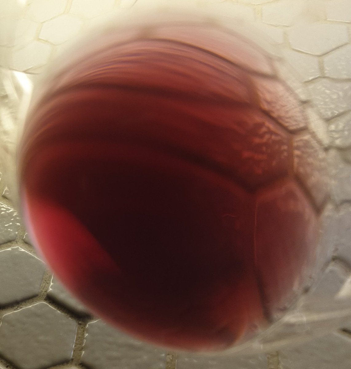 Je continue mon exploration des vins de <a href="/EsmoninSylvi/">Esmonin Sylvie</a> 
C'est un bonbon ce vin, une gourmandise, de cerise, noyau de cerise, avec quand même une certaine profondeur et des petits tanins quand on va les chercher. 
Le pied !