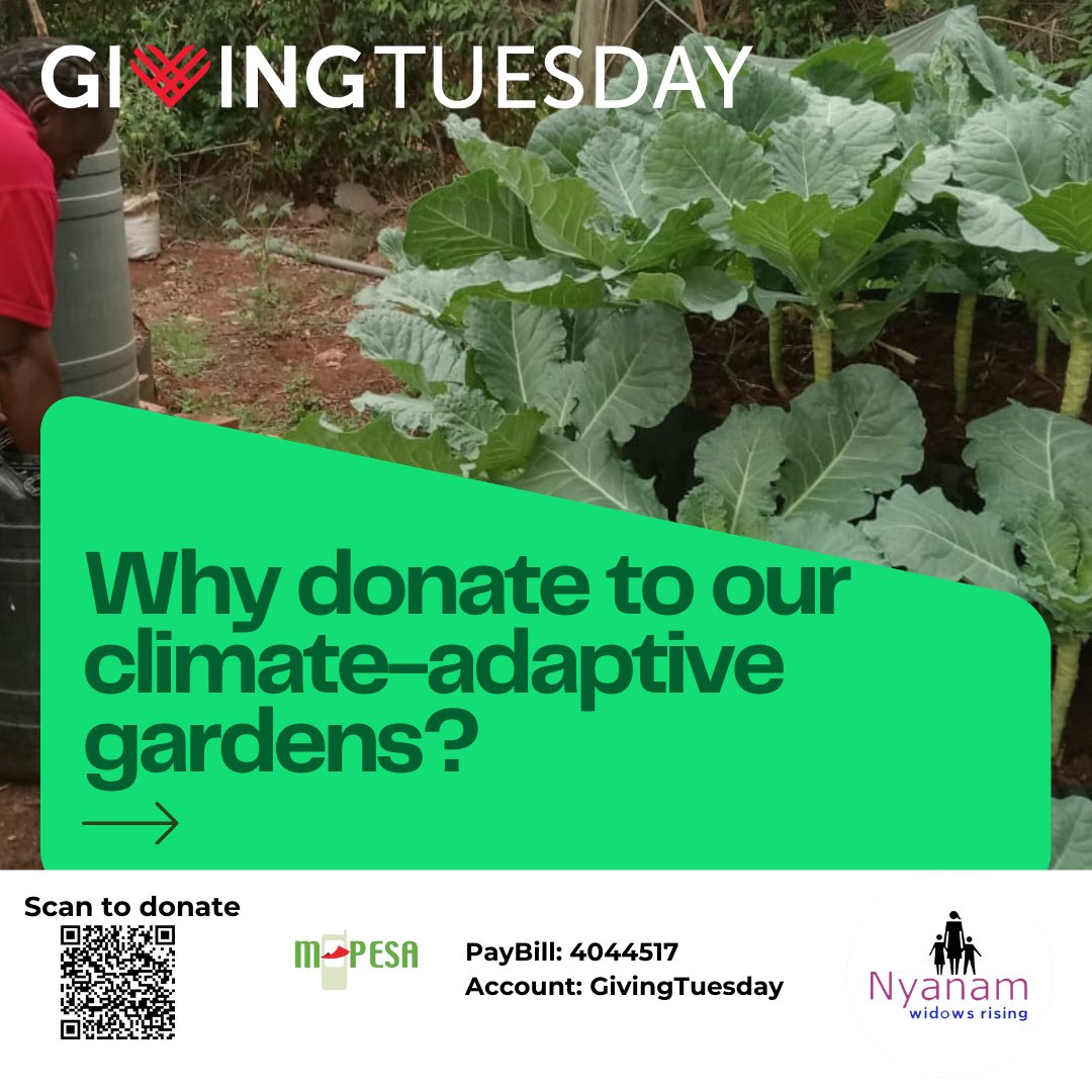 Nyanam_intl's tweet photo. Today is #GivingTuesday and we invite you to consider gifting Nyanam ❤️

Your donation will ensure 753 widows households are food secure.

#GivingTuesday2024 https://t.co/fOOr3kAn69