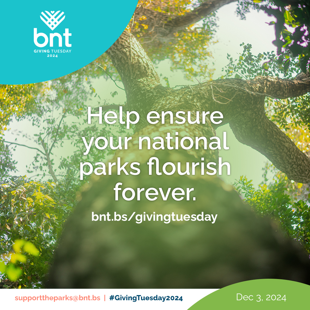 In a rapidly-changing world where climate challenges threaten our very existence, protecting biodiversity within national parks has never been more urgent. Donate @ bnt.bs/givingtuesday &amp; help ensure these irreplaceable spaces continue to thrive for future generations!