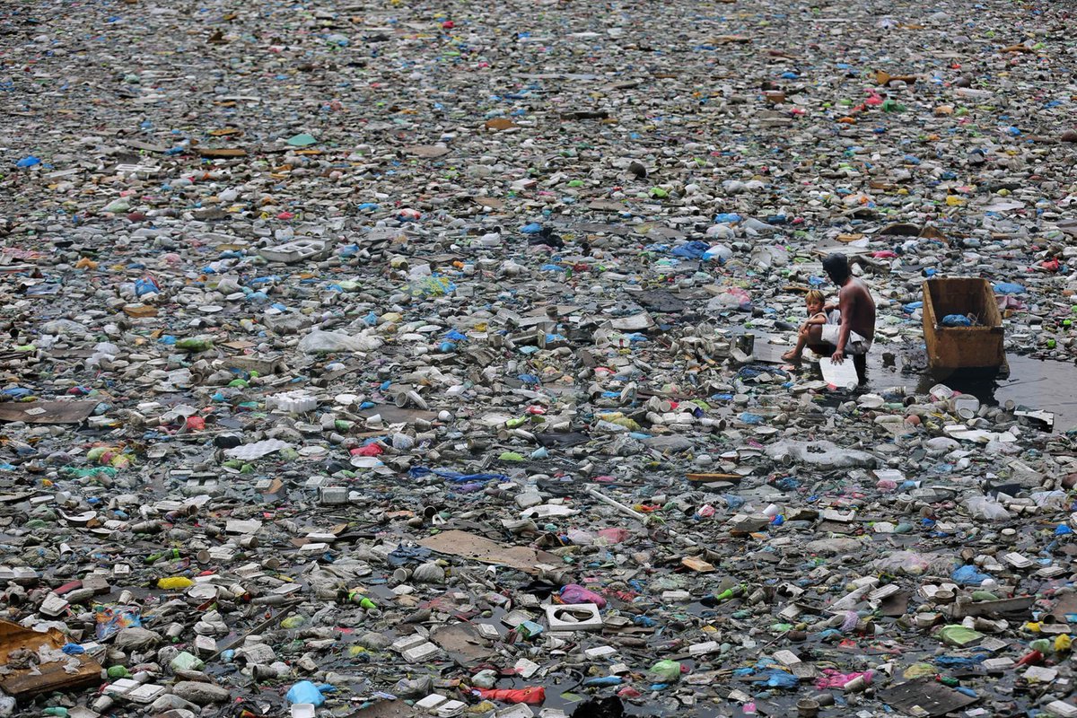 GO GREEN tweet media