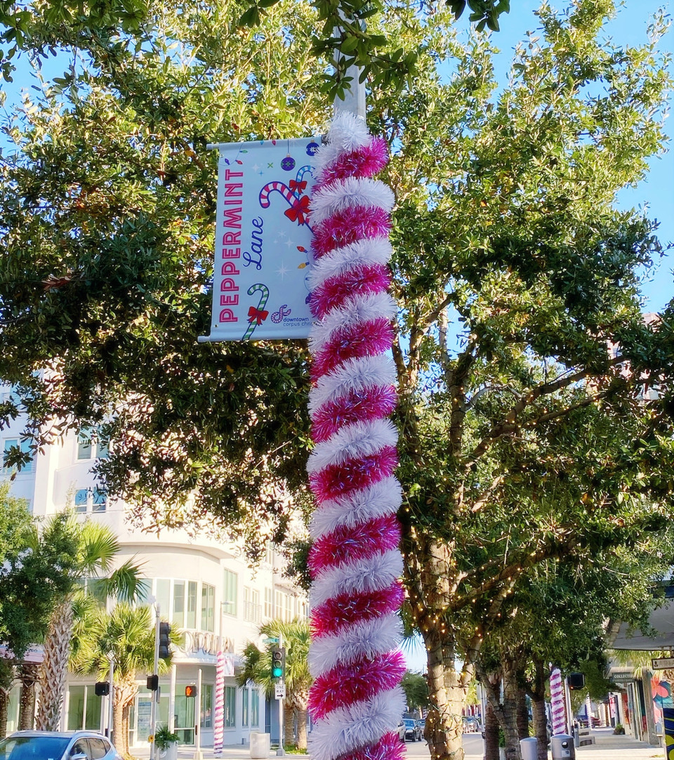Catch Corpus Christi's holiday decorations and lights all month long! 🎄✨🌊
See the details here: bit.ly/3Od1zt0 

#SeeCC #GulfCoastCapital #CorpusChristi #CCTX #Christmas #christmaslights #holidaymarket