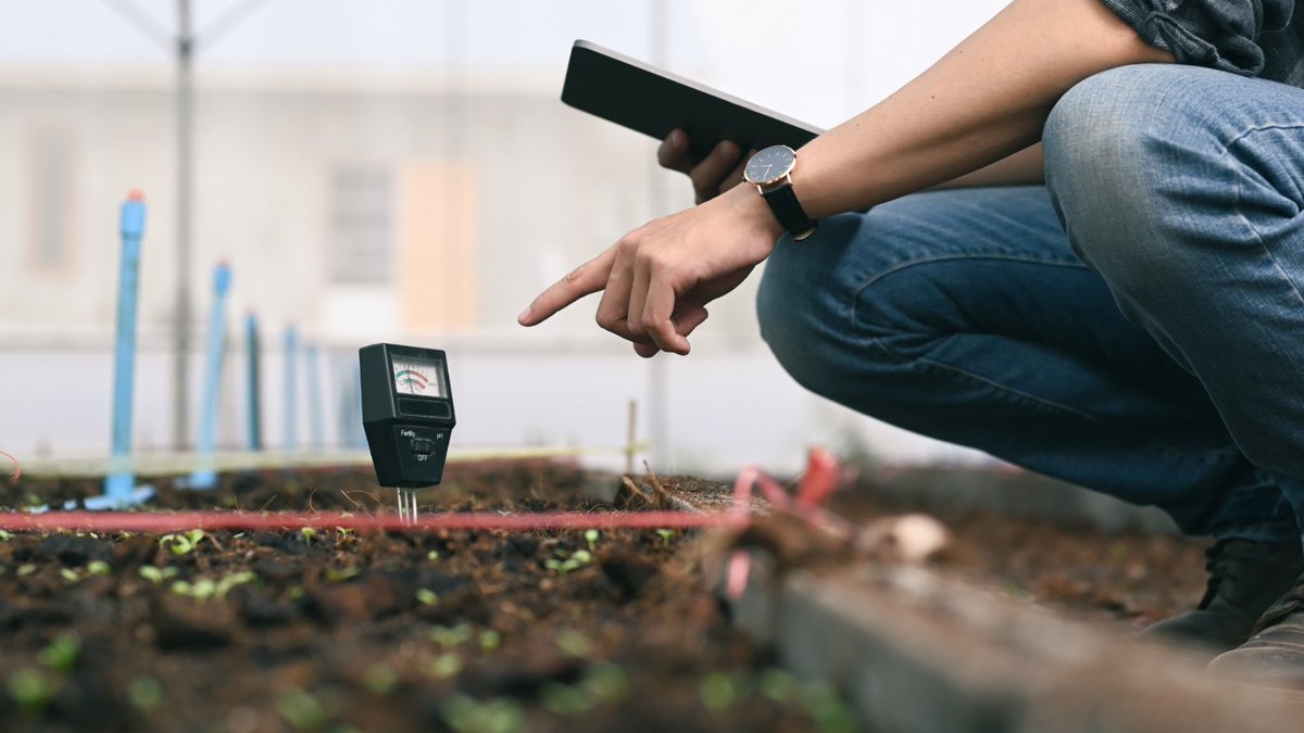 University of Guelph tweet media