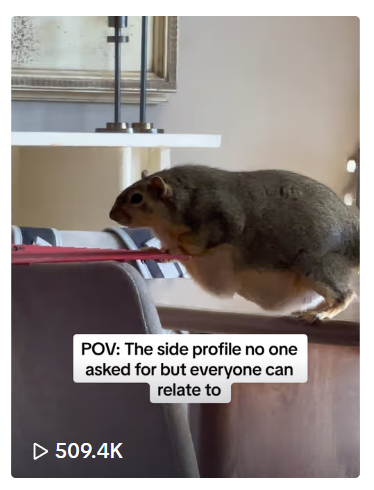 The Real Joey tweet media
